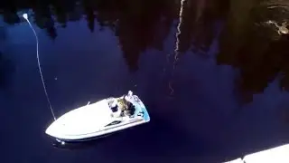Toad Riding an RC Boat