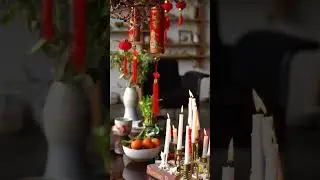 Что такое жизненная энергия или где искать энергию?