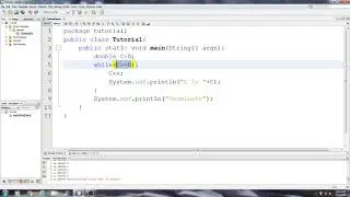 Beginning Java Tutorial: 29 Infinite Loops