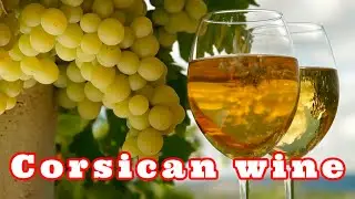 Корсиканские вина.  История виноделия.  Сorsican wines.