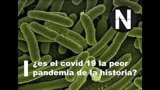 Las peores pandemias de la historia