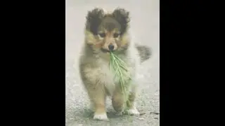 Вдохновляющая музыка для Йоги.