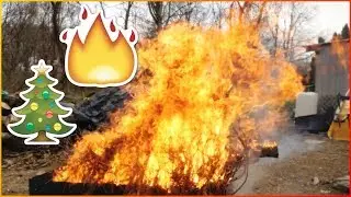 Burning dry christmas tree