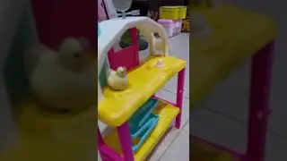 barbie granjera con lindos pollitos  review