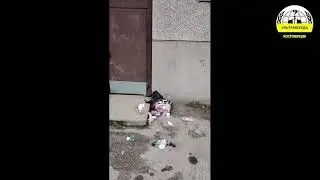 #УЛЬТРАБЕСЕДА