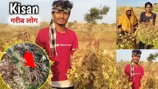 kisan - गरीब लोग  - Vlog Vdieo😘 खेत में काम करते हुए