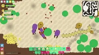 desert grind time lapse #46