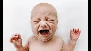 Dahood is boring now.....................