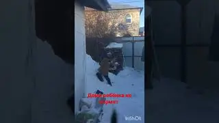 Дети такие дети,продолжают есть снег #дети #приколы #детиприколы #юмор