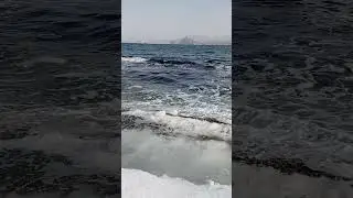 Моржи босиком по снегу ходят