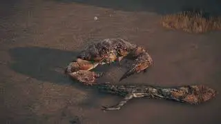 Elden Ring Network Test Part 3