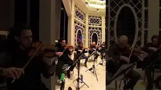 Tears of the Wild Octet with @triforcequartet ! #stringquartet #videri #triforce #zelda #magfest