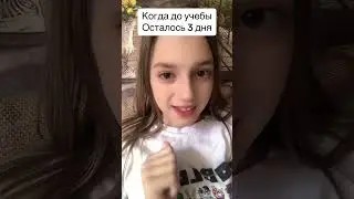 До учебы осталось 3 дня