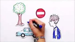 Расследование «Слова»  Мозг