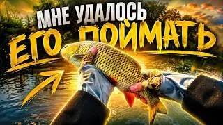 ТРОФЕЙНЫЙ ИЮНЬСКИЙ ГОЛАВЛЬ🔥 | Два дня рыбалки с палатками и ЗЛЫЕ поклевки | Июнь 2026