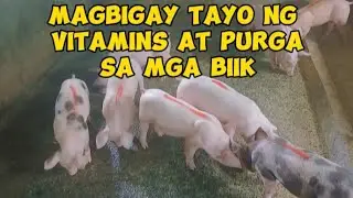 MAGBIGAY NG VITAMINS AT PAMURGA SA BAGONG WALAY NA BIIK