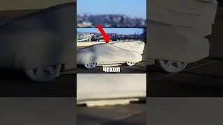 A girl in Europe found cars completely covered in concrete 😳🚗🪨