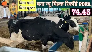 PDFA 2024 मे बना NEW MILK RECORD PDFA 2024 milk record Pdfa 2024
