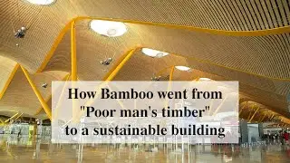 How Bamboo went from "Poor man's timber" to a sustainable building material!