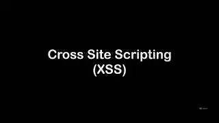 89. Cross Site Scripting (XSS) - Overview