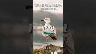 🇹🇷 5 турецких слов за 15 сек. 