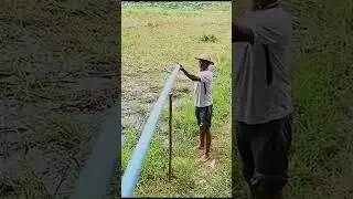 Free water pump #shorts