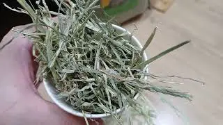 토끼 먹이 사료 대용량 티모시 10kg 어른 토끼용 건초