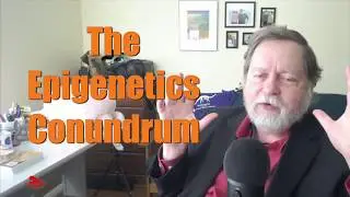 The Epigenetics Conundrum
