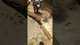 Tree Cutting Machine