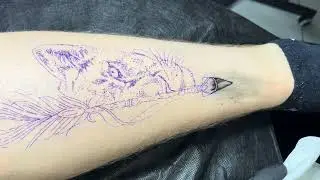 LIONESS 5RL ONLY