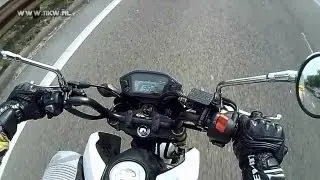 Honda MSX125 / Honda Grom walk around and ride