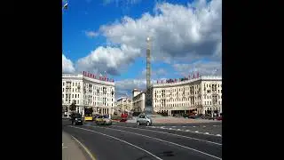 Зачем в теплице бархатцы: хитрость, чтобы каждый год высаживать эти цветы