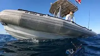 Offshore Pelagic Spearfishing With Friends For Mahi-mahi And Tuna - Part 1