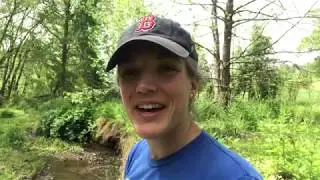 Streamside nature journaling