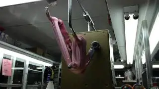 Taffy Machine (Slow Motion)