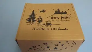 Hooked on books: Гарри Поттер, пятый год обучения