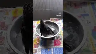 Slow Motion Bathtime