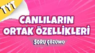 Canlıların Ortak Özellikleri Soru Çözümleri | TYT Biyoloji 2022 #hedefekoş
