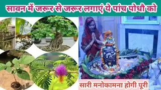 🎀💚सावन में जरूर लगाएं ये पांच पोधौ को/Savan ke mhene me koon sa poodha lgana chahiy