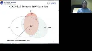 Bioinformatics: Benchmarking Variant Callers & Analysis Tools