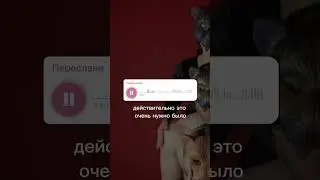Когда в твоей жизни становится больше тебя