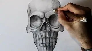 Skull Drawing Speed Video Clip