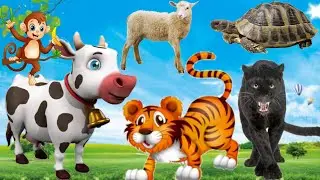 Animals Sound Effects, Animals Sound Name In Animal Sound, Cow Dung,Elephant,Lion,Crocodile, Farm...