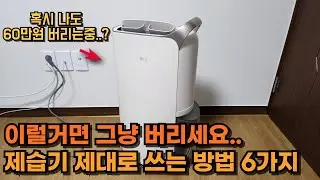 제습기 원리와 사용법 제대로 알려드릴게요 장마철 습기 걱정 끝!