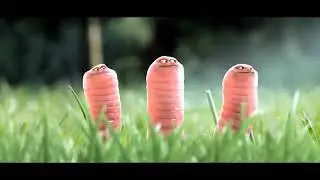 Польский короткометражный мультфильм. 4 червяка