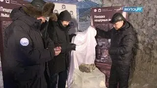 В Якутске представили уникальную находку – детеныша пещерного льва