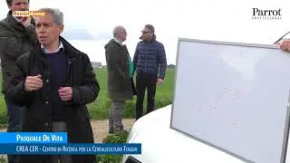 Analisi dell'elaborazione multispettrale: l'indice NDVI