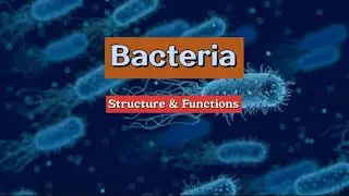 Bacterial Structure & Functions #bacteriology #microbiology