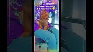 #самолет