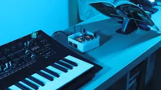 Reading moment | Korg Minilogue xd, Norns shield / Blndr